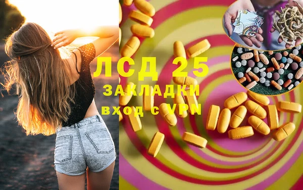 шишки Алексин