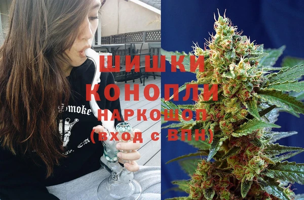 шишки Алексин