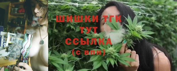спиды Алзамай