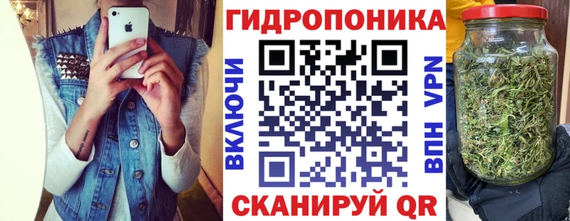 Конопля планчик  Чаплыгин 